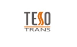 teso_logo